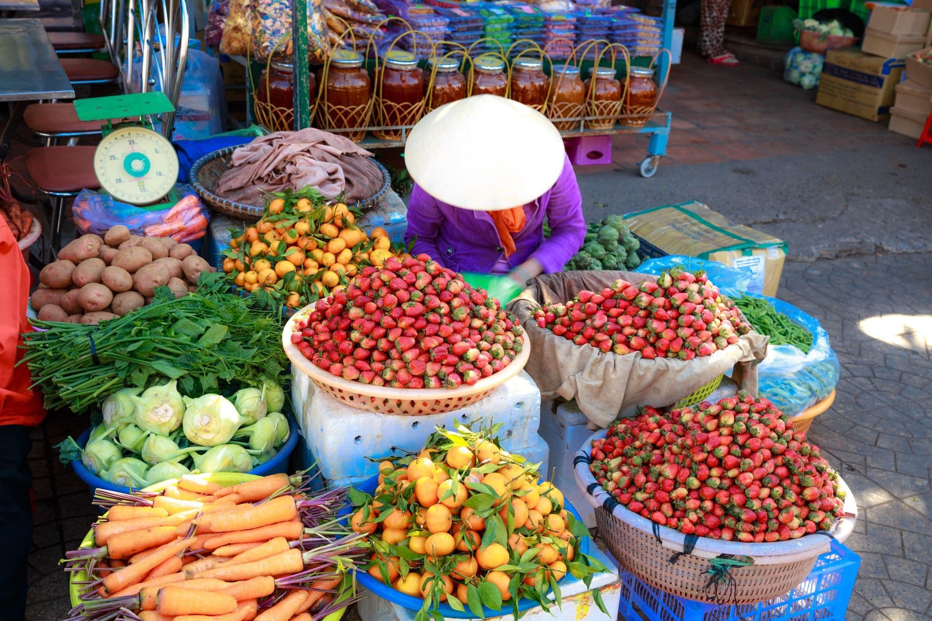 Quang Nguyen Vinh