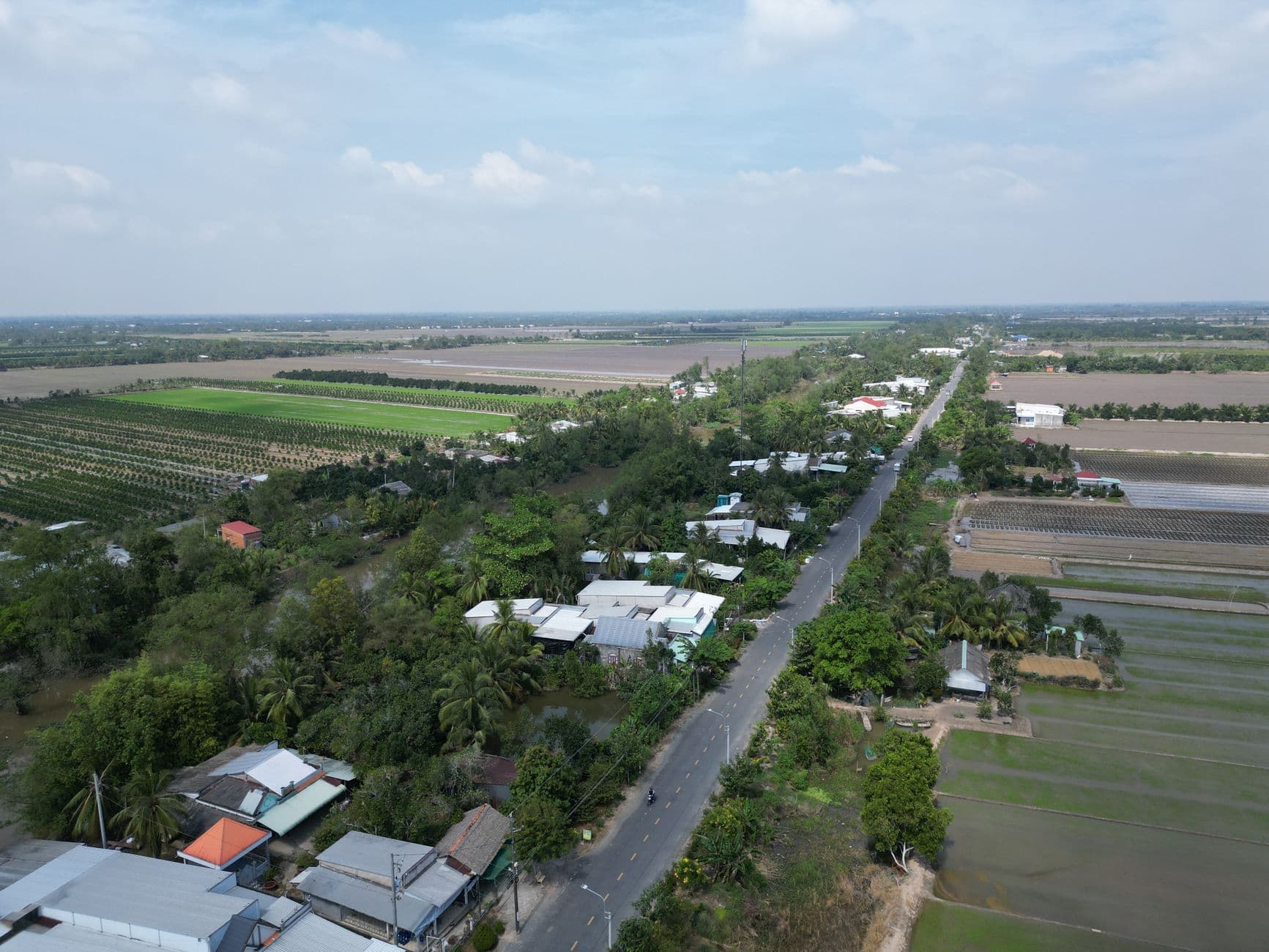 Kushie In Vietnam